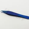 Blue finish extraction forcep